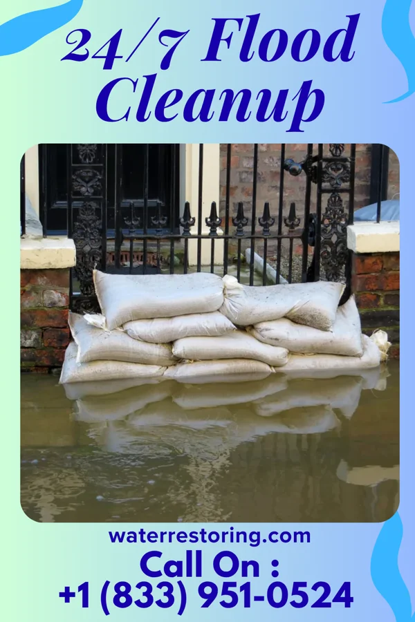 24/7 Flood Cleanup in New Buffalo, MI