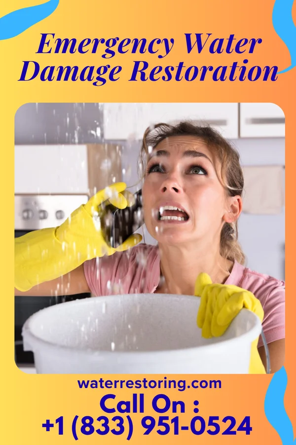 Emergency Water Damage Restoration in New Buffalo, MI
