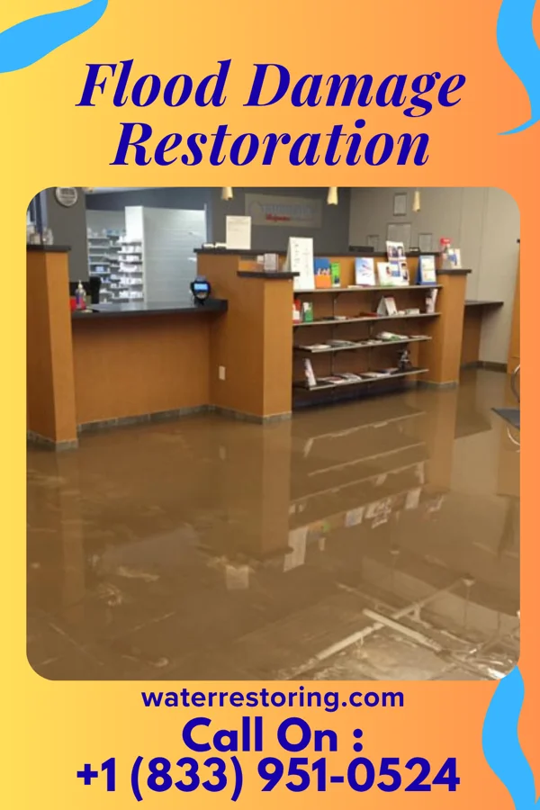 Flood Damage Restoration in New Buffalo, MI