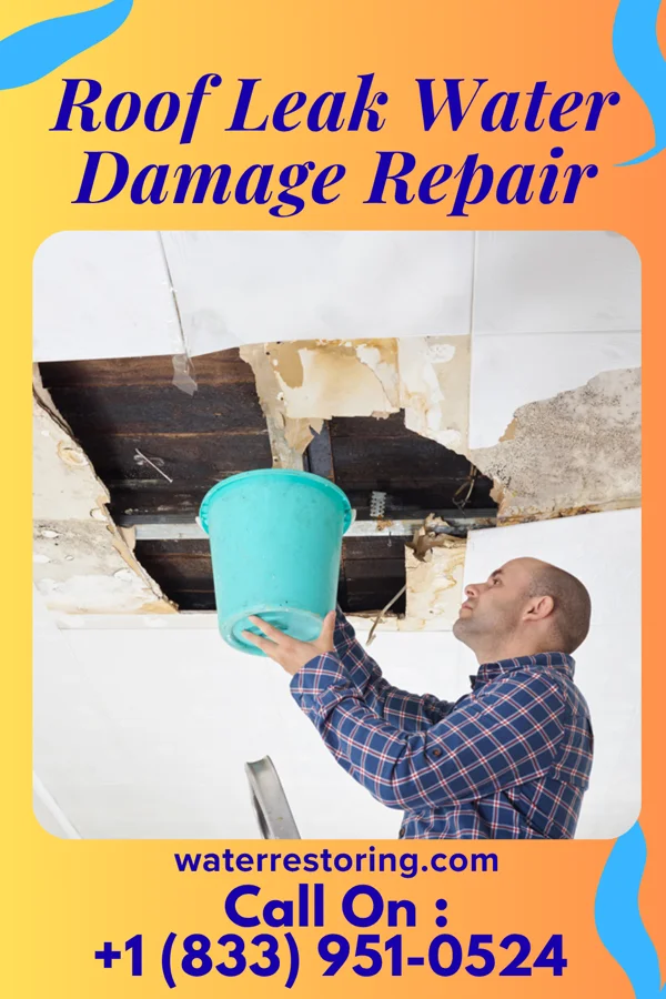 Roof Leak Water Damage Repair in New Buffalo, MI