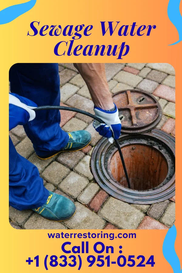 Sewage Water Cleanup in New Buffalo, MI