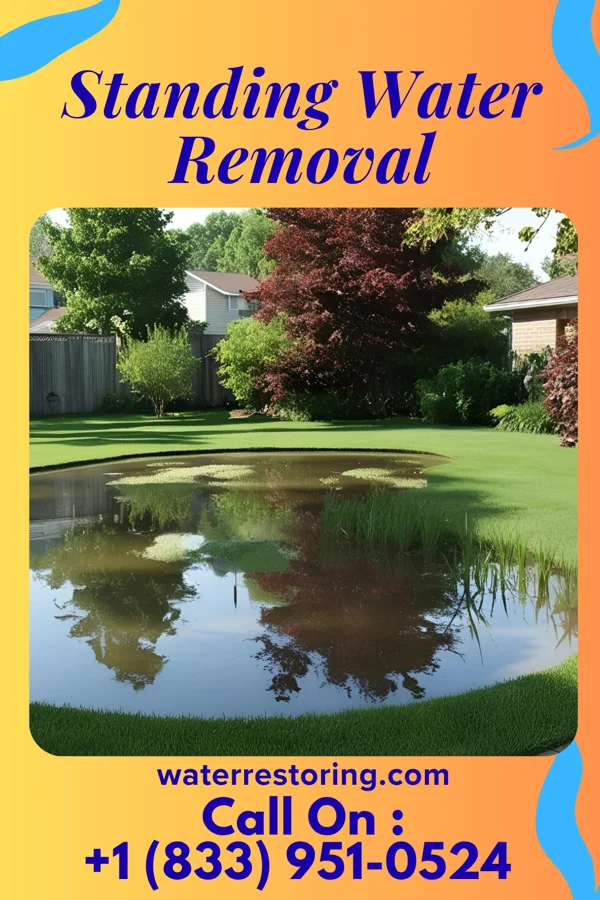 Standing Water Removal in New Buffalo, MI